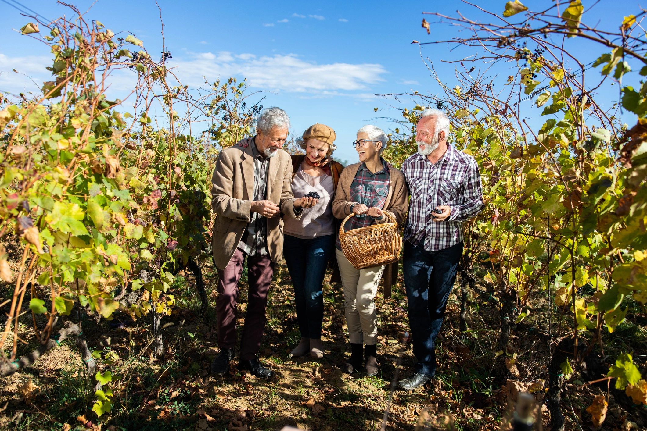 Couples walking through a vineyard
