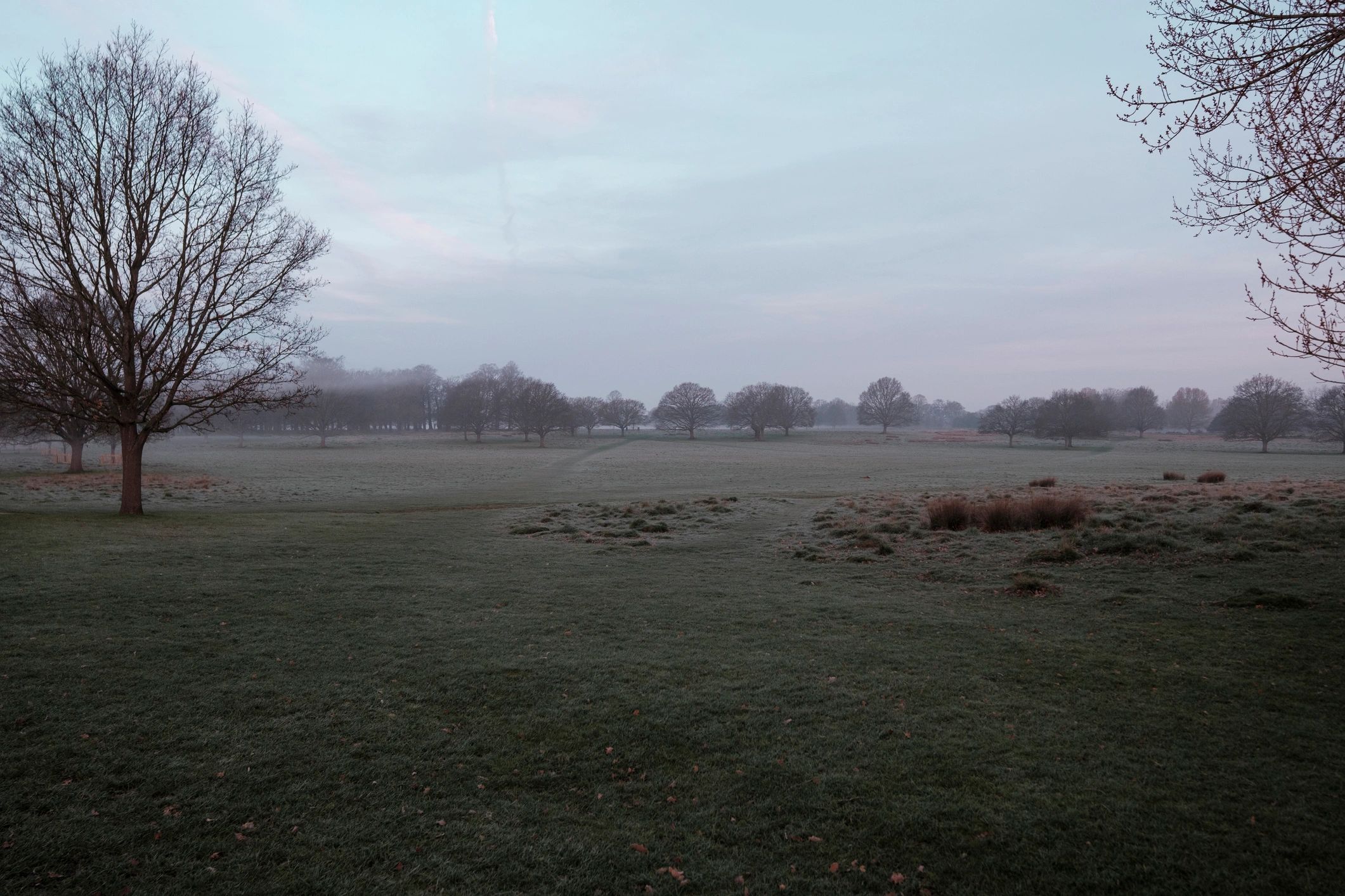 Misty morning landscape used as a neutral testimonial avatar